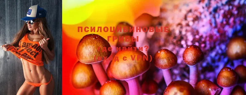 Псилоцибиновые грибы Magic Shrooms  магазин продажи   Нарткала 